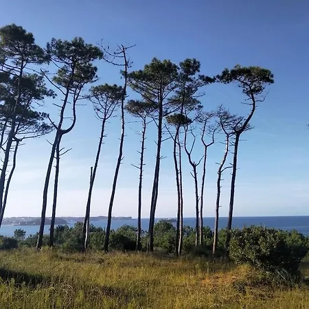 Playa Vida House, Con Jardin, Garaje Y A 5 Minutos De La Playa Apartman Somo